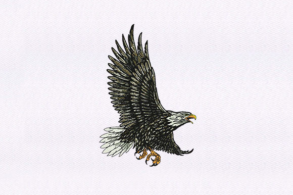 Feather Detailed Eagle Design Review